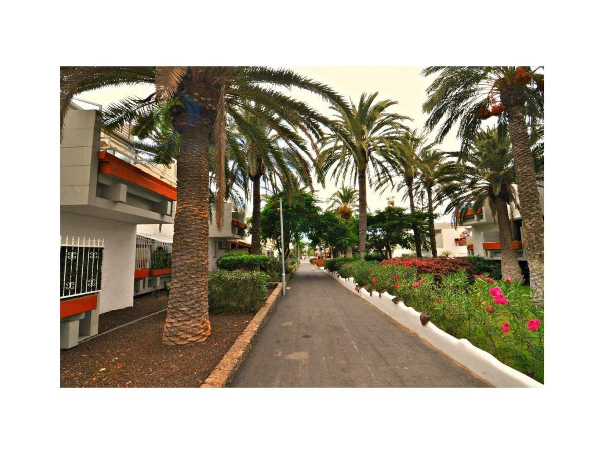 Apartamento Primavera Costa Del Silencio Exterior foto